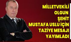 Milletvekili Olgun, Şehit Mustafa Uslu İçin Taziye Mesajı Yayımladı