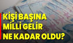 Kişi Başına Düşen Milli Gelir Ne Kadar Oldu?