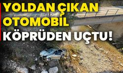 Yoldan çıkan otomobil, köprüden uçtu!