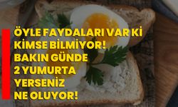 Öyle faydaları var ki kimse bilmiyor! Bakın günde 2 yumurta yerseniz ne oluyor!