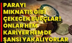 Parayı mıknatıs gibi çekecek burçlar! Onlar hem kariyer hem de şansı yakalıyorlar