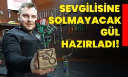 Sevgilisine solmayacak gül hazırladı!