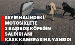 Seyir halindeki motosiklete 3 başıboş köpeğin saldırı anı kask kamerasına yansıdı