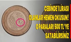 Cebinde 1 Lirası olanlar hemen okusun! O paraları 500 TL’ye satabilirsiniz