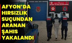 Afyonkarahisar’da Hırsızlık Suçundan Aranan Şahıs Yakalandı