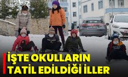 İşte Okulların Tatil Edildiği İller