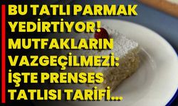 Bu Tatlı Parmak Yedirtiyor! Mutfakların Vazgeçilmezi: İşte Prenses Tatlısı Tarifi…