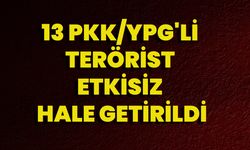 13 PKK/YPG'li Terörist Etkisiz Hale Getirildi!