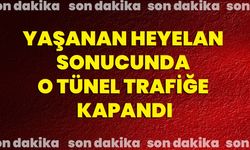 Yaşanan Heyelan Sonucunda O Tünel Trafiğe Kapandı