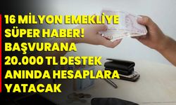 16 milyon emekliye süper haber! Başvurana 20.000 TL destek anında hesaplara yatacak