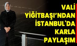 Vali  Yiğitbaşından İstanbul'da Karla Paylaşımı