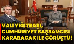 Vali Yiğitbaşı, Cumhuriyet Başsavcısı Karabacak ile görüştü!