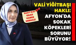 Vali Yiğitbaşı haklı: Afyon'da sokak köpekleri sorunu büyüyor!