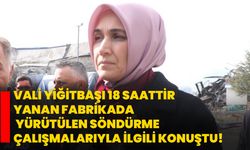 Vali Yiğitbaşı 18 saattir yanan fabrikada yürütülen söndürme çalışmalarıyla ilgili konuştu!