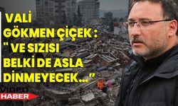 Vali Gökmen Çiçek : " Ve sızısı belki de asla dinmeyecek…”