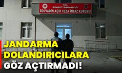 Jandarma dolandırıcılara göz açtırmadı!