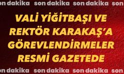 VALİ YİĞİTBAŞI VE REKTÖR KARAKAŞ’A GÖREVLENDİRMELER RESMİ GAZETEDE