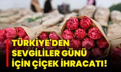 Türkiye'den Sevgililer Günü İçin Çiçek İhracatı