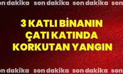 3 Katlı Binanın Çatı Katında Korkutan Yangın