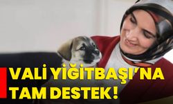 Vali Yiğitbaşı’na tam destek!