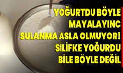 Yoğurtdu böyle mayalayınca sulanma asla olmuyor! Silifke yoğurdu bile böyle değil