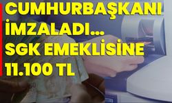 Cumhurbaşkanı İmzaladı… SGK Emeklisine 11.100 TL