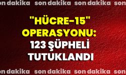 "Hücre-15" operasyonu:  123 şüpheli tutuklandı