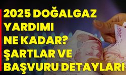 2025 Doğalgaz Yardımı Ne Kadar? Şartlar ve Başvuru Detayları