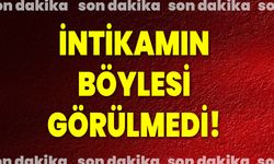 İntikamın Böylesi Görülmedi!