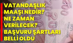 Vatandaşlık Maaşı Nedir? Ne Zaman Verilecek? Başvuru Şartları Belli Oldu