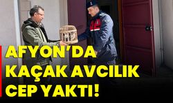 Afyon'da Kaçak Avcılık Cep Yaktı!