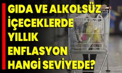 Gıda Ve Alkolsüz İçeceklerde Yıllık Enflasyon Hangi Seviyede?