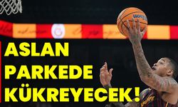 Aslan parkede kükreyecek!