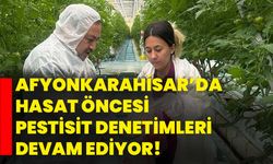 Afyonkarahisar’da hasat öncesi pestisit denetimleri devam ediyor!