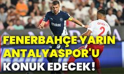 Fenerbahçe, yarın Antalyaspor'u konuk edecek!