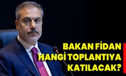 Bakan Fidan Hangi Toplantıya Katılacak?