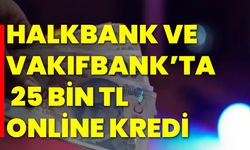 Halkbank ve Vakıfbank’tan 25 Bin TL Online Kredi