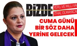 Bizde yerli ve milli var: Bizde ithal olmayacak