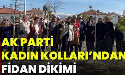 Ak Parti Kadın Kolları’ndan fidan dikimi