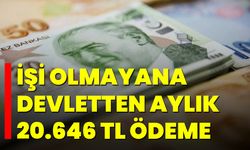 İşi Olmayana Devletten Aylık 20.646 TL Ödeme