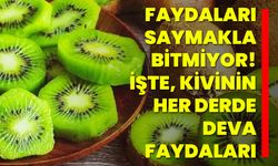 Faydaları Saymakla Bitmiyor! İşte, Kivinin Her Derde Deva Faydaları