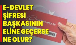 E-Devlet Şifresi Başkasının Eline Geçerse Ne Olur?