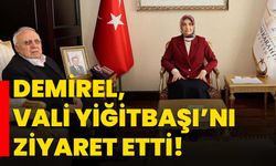 Demirel, Vali Yiğitbaşı’nı ziyaret etti!