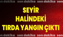 Seyir Halindeki Tırda Yangın Çıktı