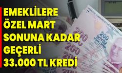 Emeklilere Özel Mart Sonuna Kadar Geçerli 33.000 TL Kredi