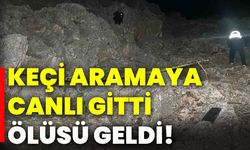 Keçi aramaya canlı gitti ölüsü geldi!