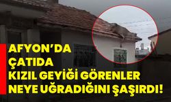 Afyon’da çatıda kızıl geyiği görenler neye uğradığını şaşırdı!