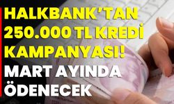 Halkbank’tan 250.000 TL Kredi Kampanyası! Mart Ayında Ödenecek