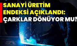 Sanayi üretim endeksi açıklandı: Çarklar dönüyor mu?