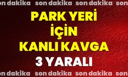 Park Yeri İçin Kanlı Kavga: 3 Yaralı